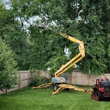 Best Pest Control for Lawns  in Overlea, MD