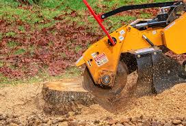 Best Lawn Maintenance Plans  in Overlea, MD